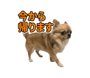 859259282
