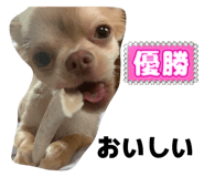 859259530