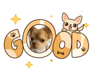 859259534