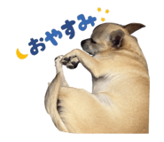 859259547