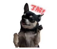 859259557