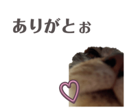859259730