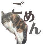 859259731