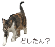 859259732