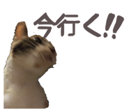 859259735