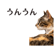 859259736
