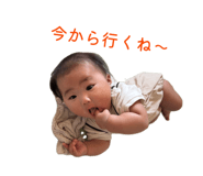 859259811