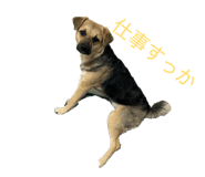 859259892