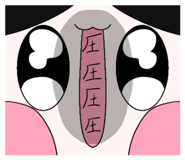 859260541