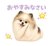 859261114