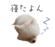859261123