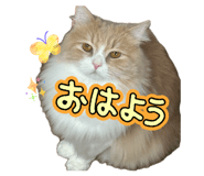 859261199