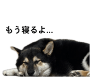 859261220