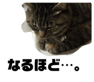859261242