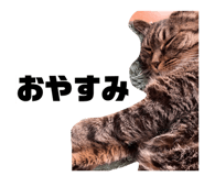 859261248