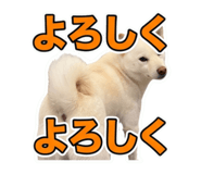 859261317