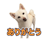 859261319