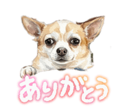 859261538