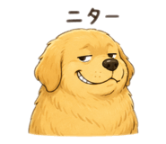 859261663