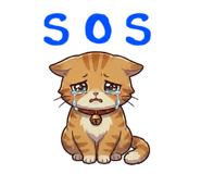 859261702