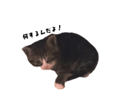 859261737