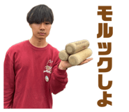859262491