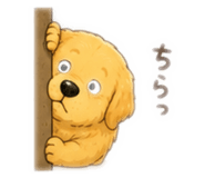 859262686