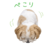 859262779