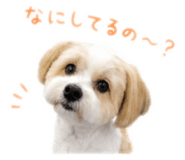 859262782