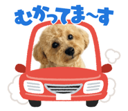 859263072