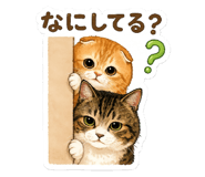 859263314