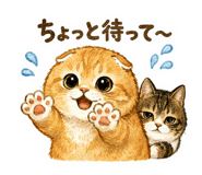859263316