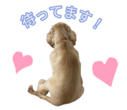 859263358
