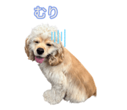 859263366