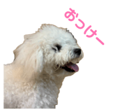 859263932