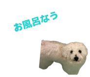 859263934
