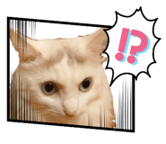 859264027