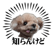 859265082