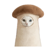 859265091