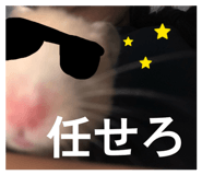 859265186