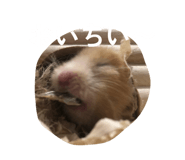 859265190