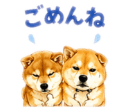 859265570