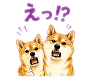 859265571