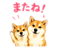 859265577