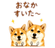 859265582