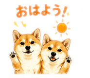 859265584