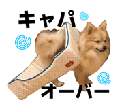 859266217