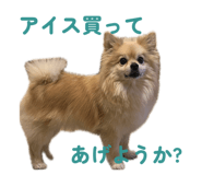 859266219