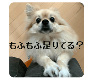 859266220