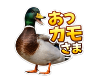 859267704